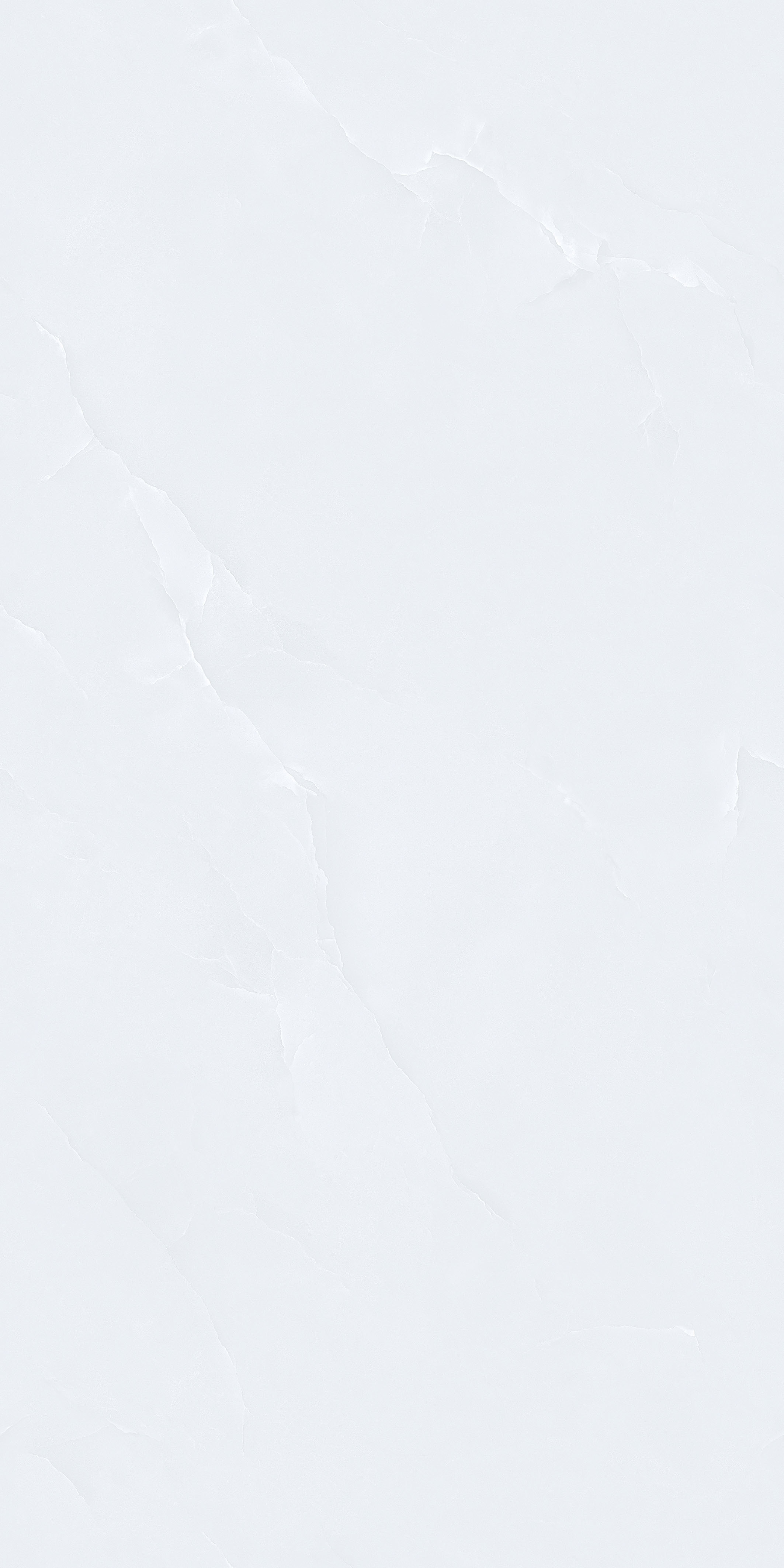 欢脂白玉 Z75D72