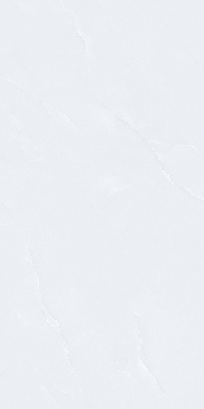 欢脂白玉Z362D72