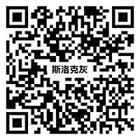 Z81205斯洛克灰