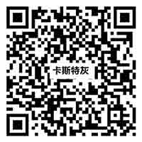 Z81214卡斯特灰