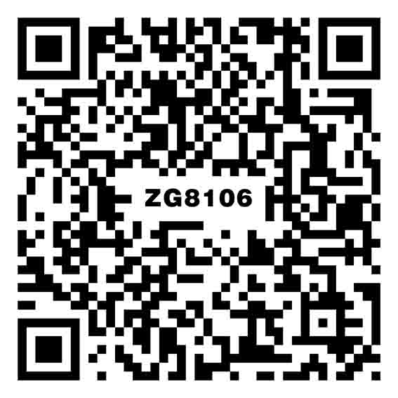 卡其金咖 ZG8106