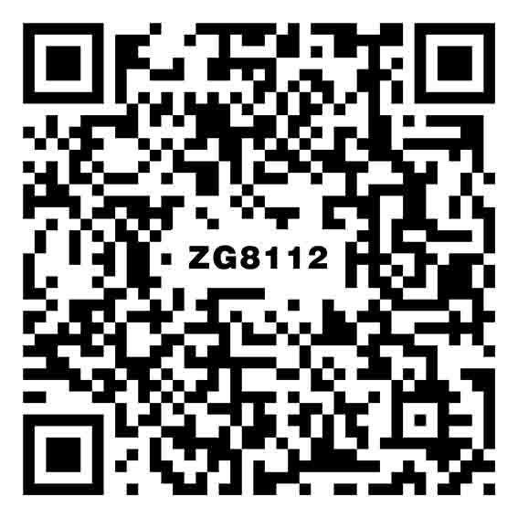 保罗灰 ZG8112