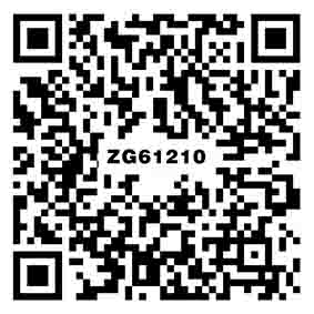 阿斯顿中灰 ZG61210