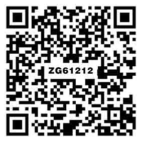 保罗灰 ZG61212