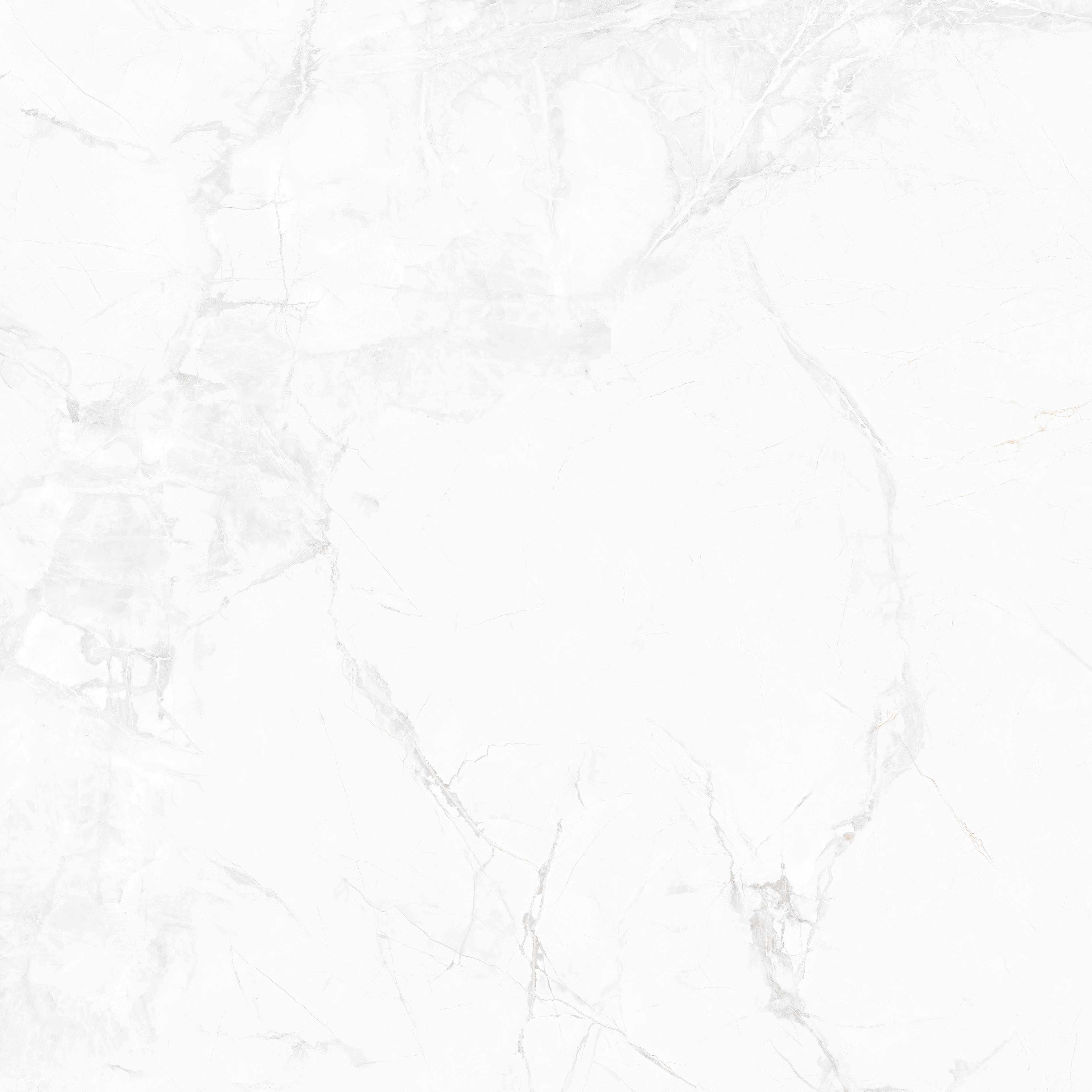 ZK8301寒江雪