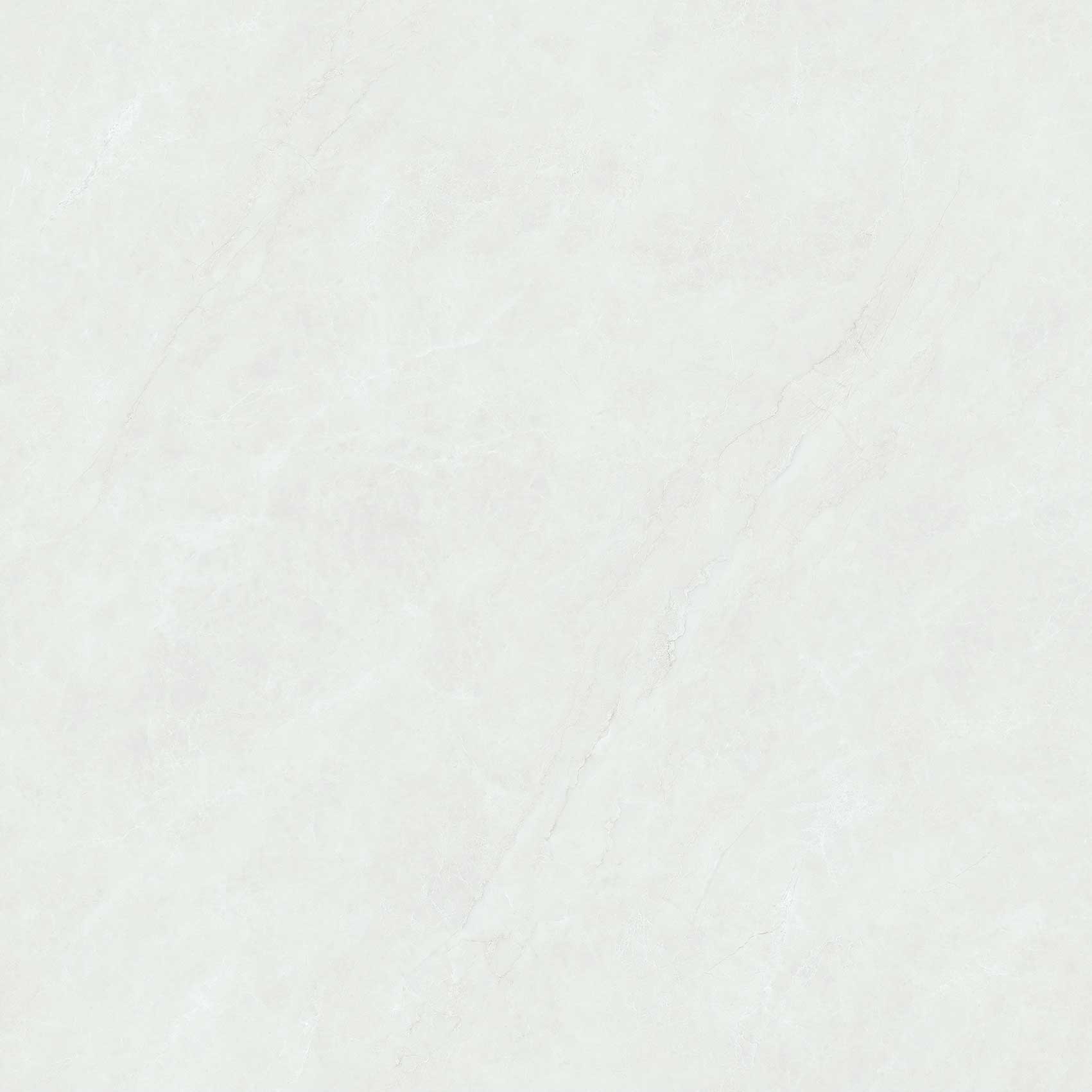 ZK8304帕拉迪灰