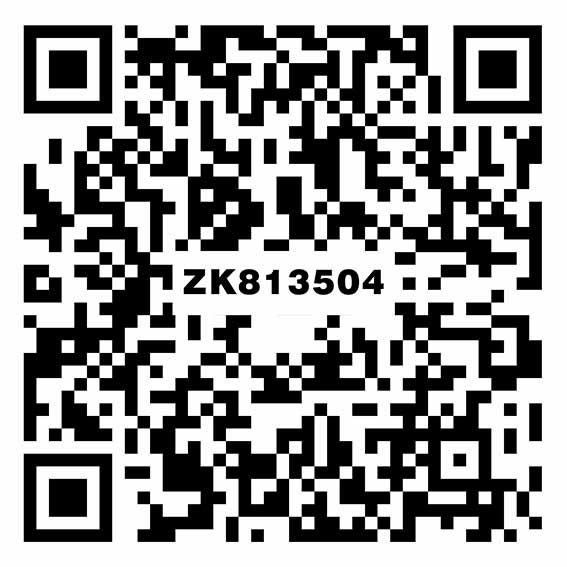 ZK813504帕拉迪灰