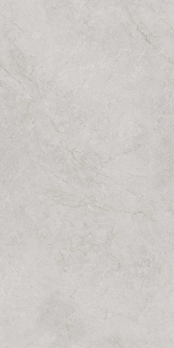 48ZK27巴斯金灰