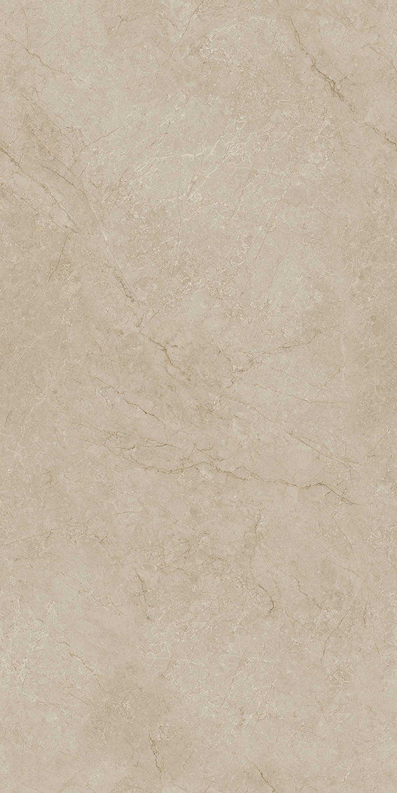48ZK28巴斯金咖