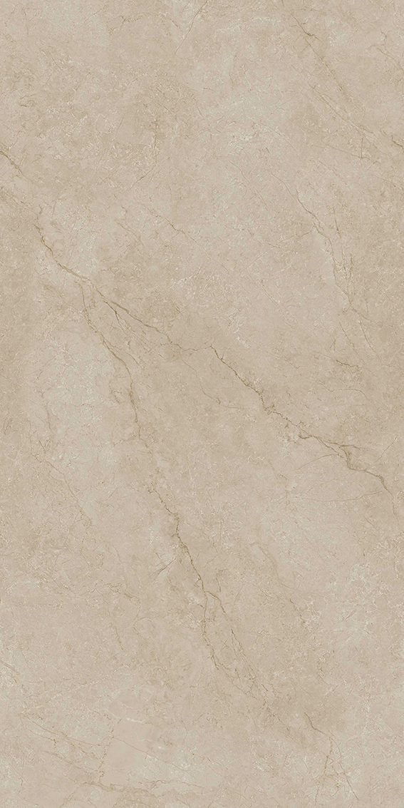 48ZK28巴斯金咖