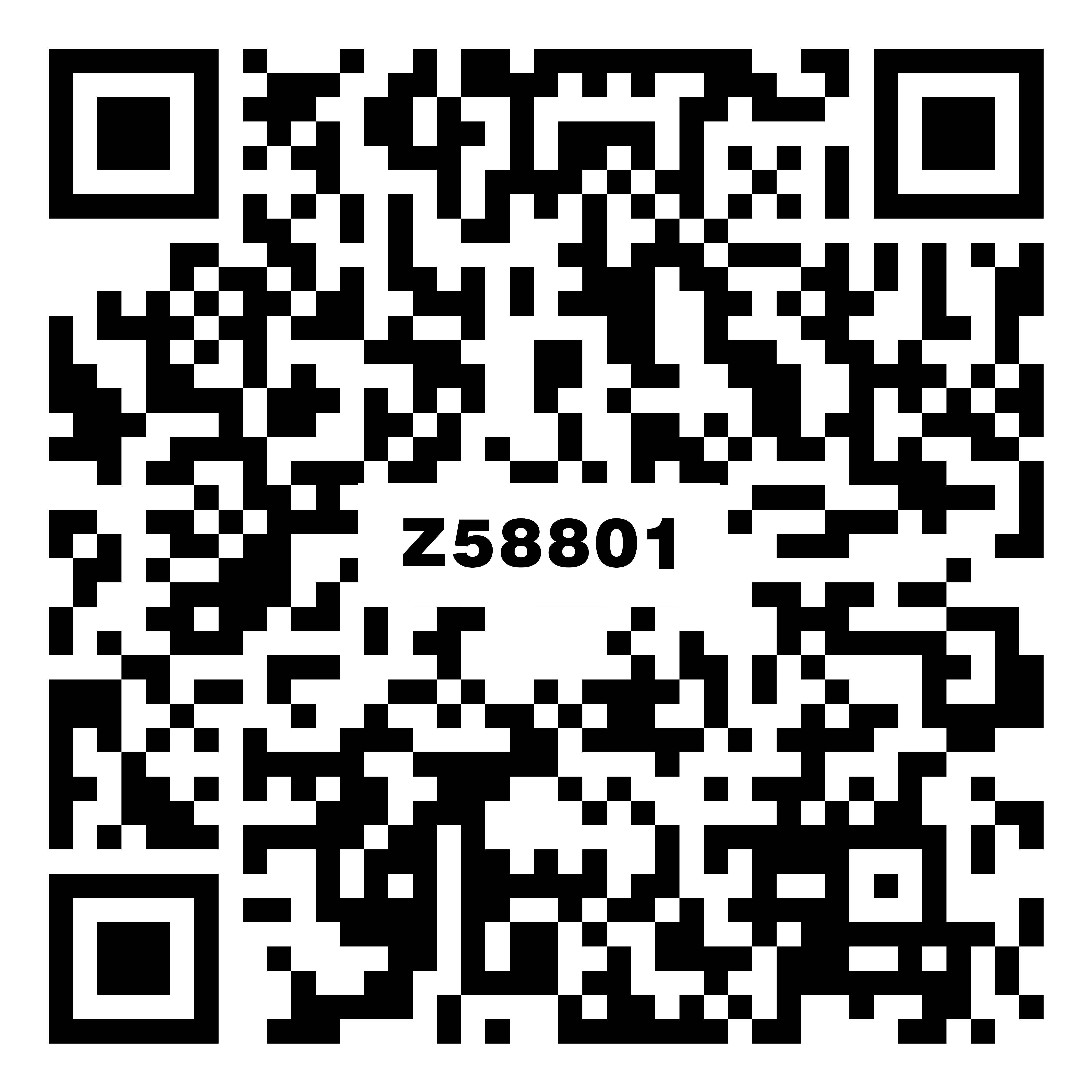 Z58801芬兰拉普兰