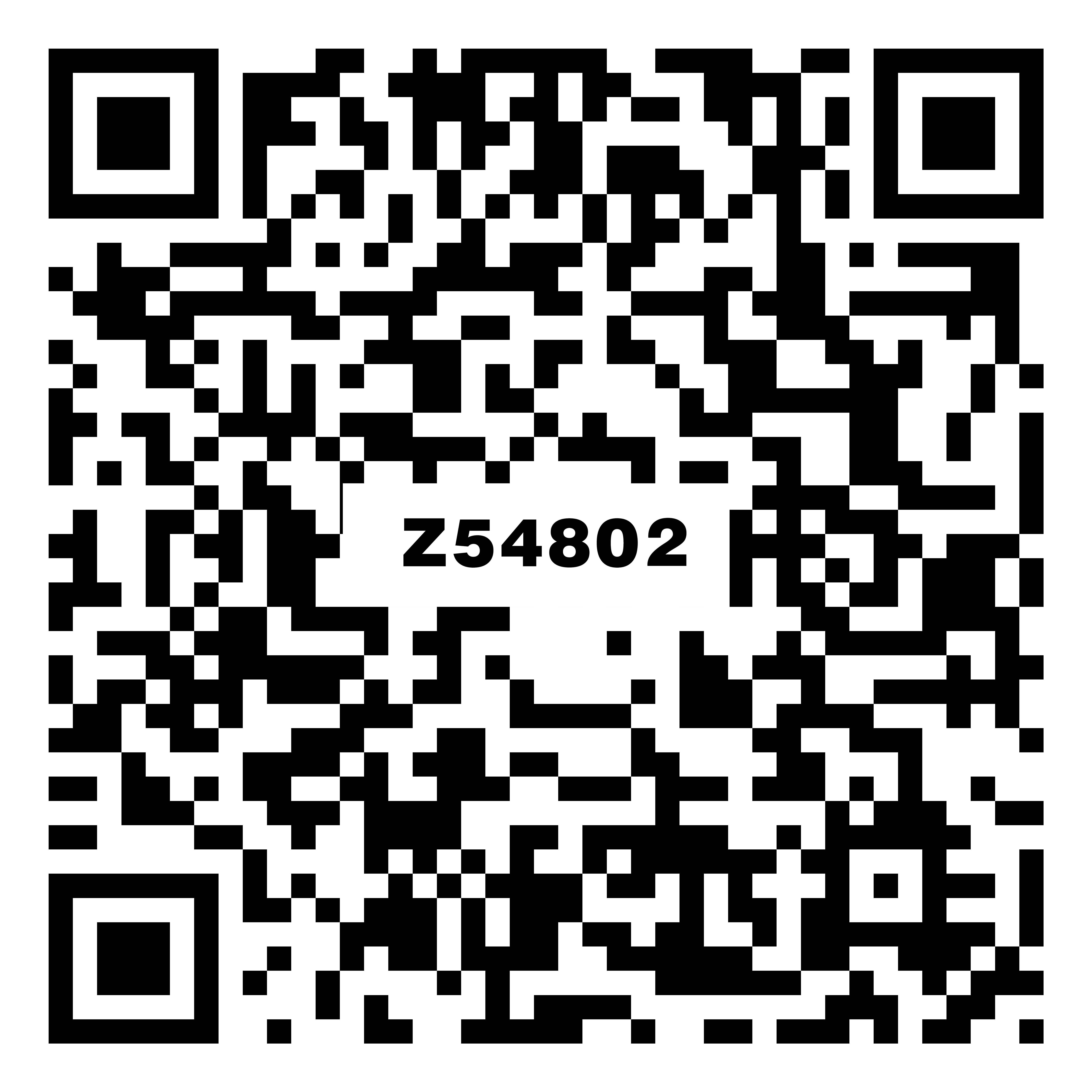 Z54802里瓦德中灰