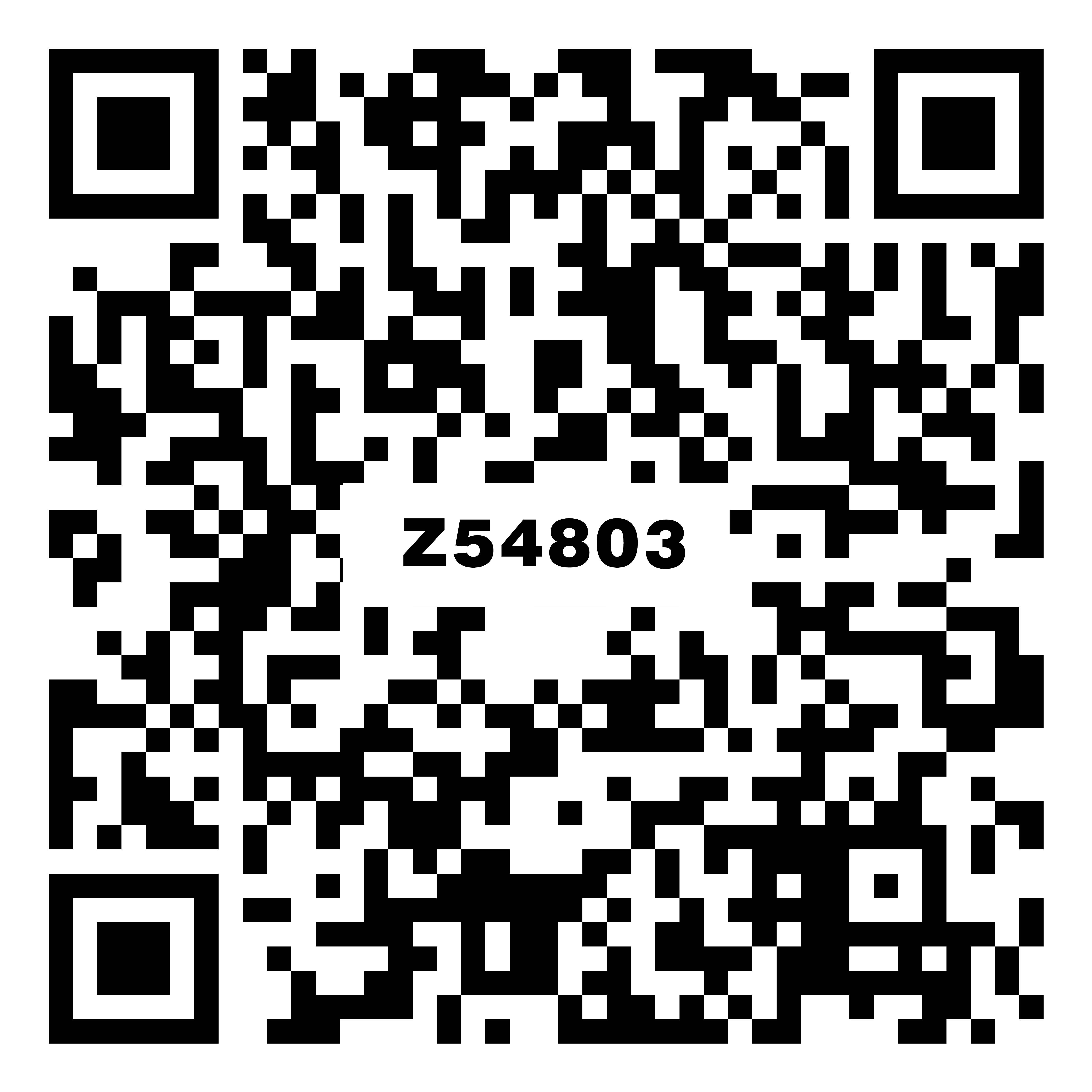 Z54803里瓦德浅灰  