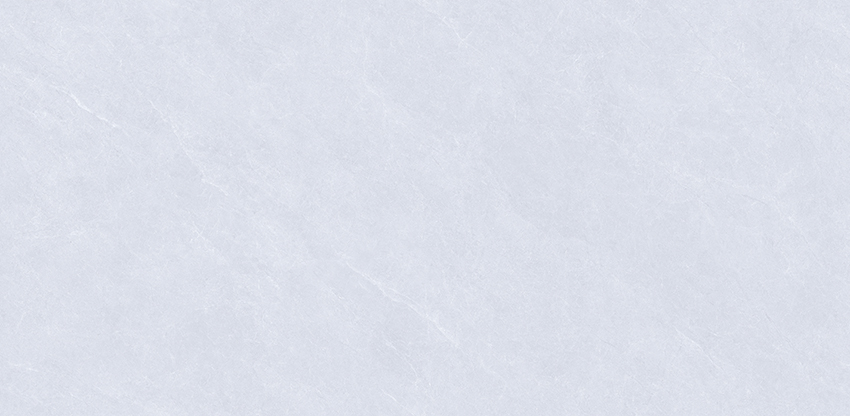 Z54803里瓦德浅灰  