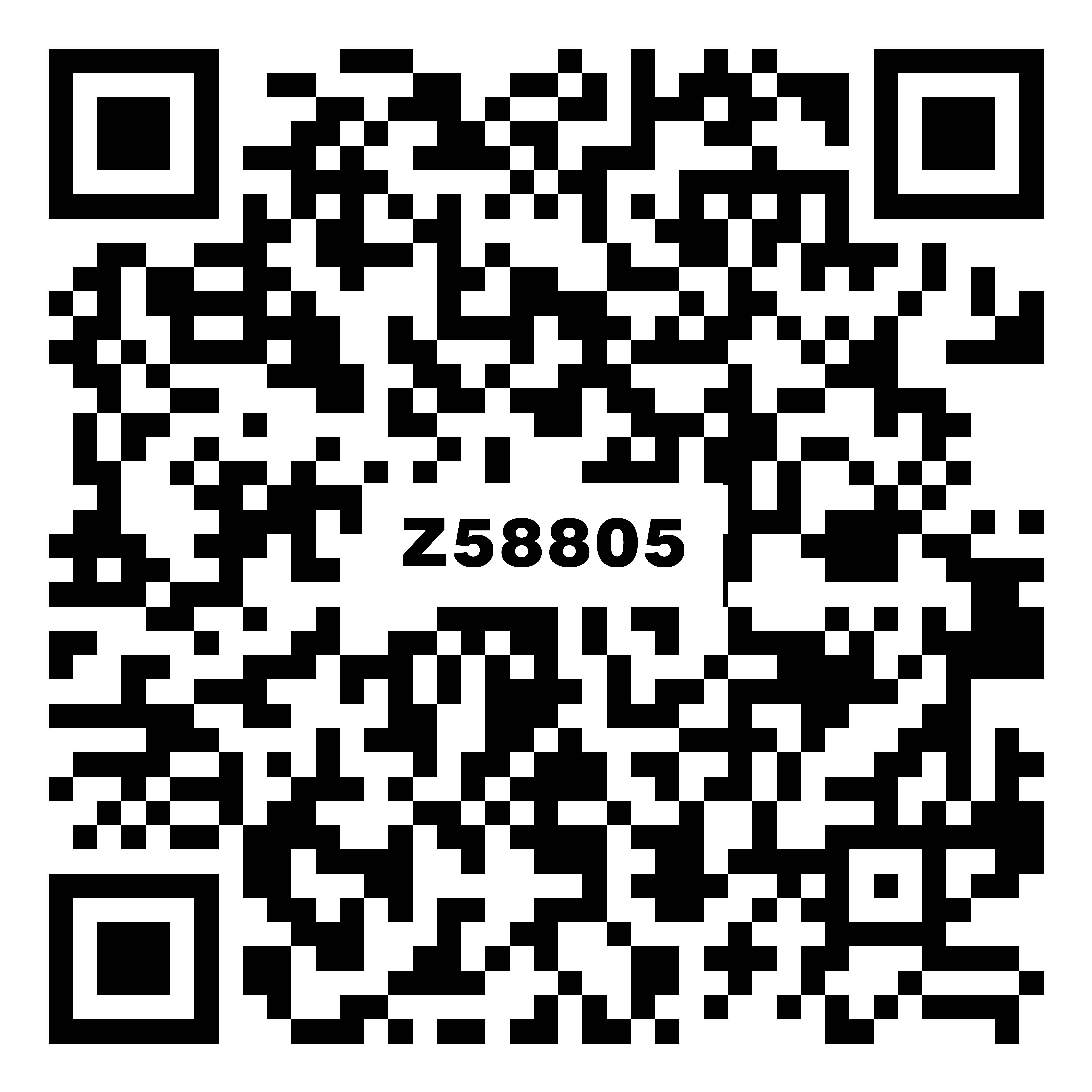 Z58805米亚灰