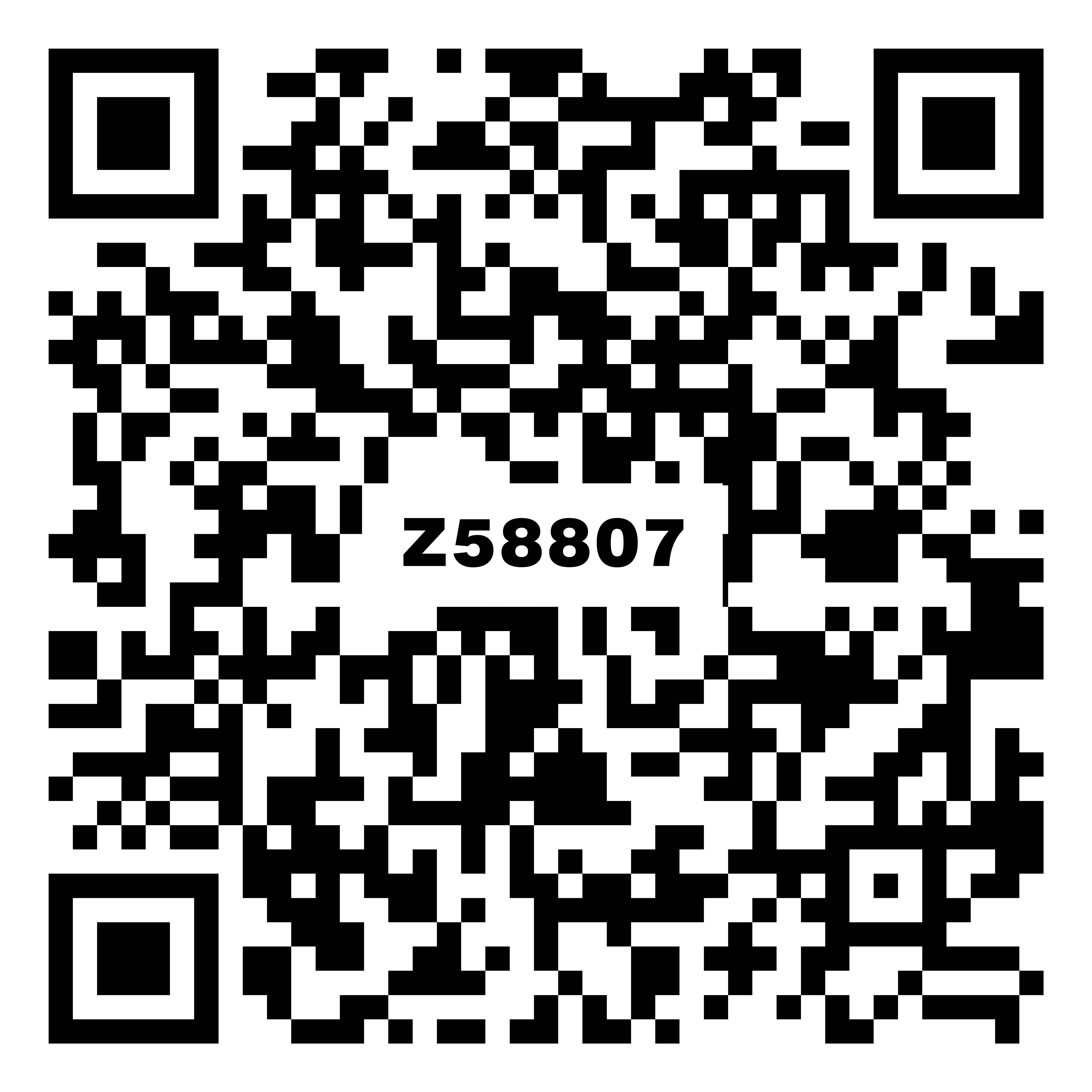 Z58807新简寒江雪