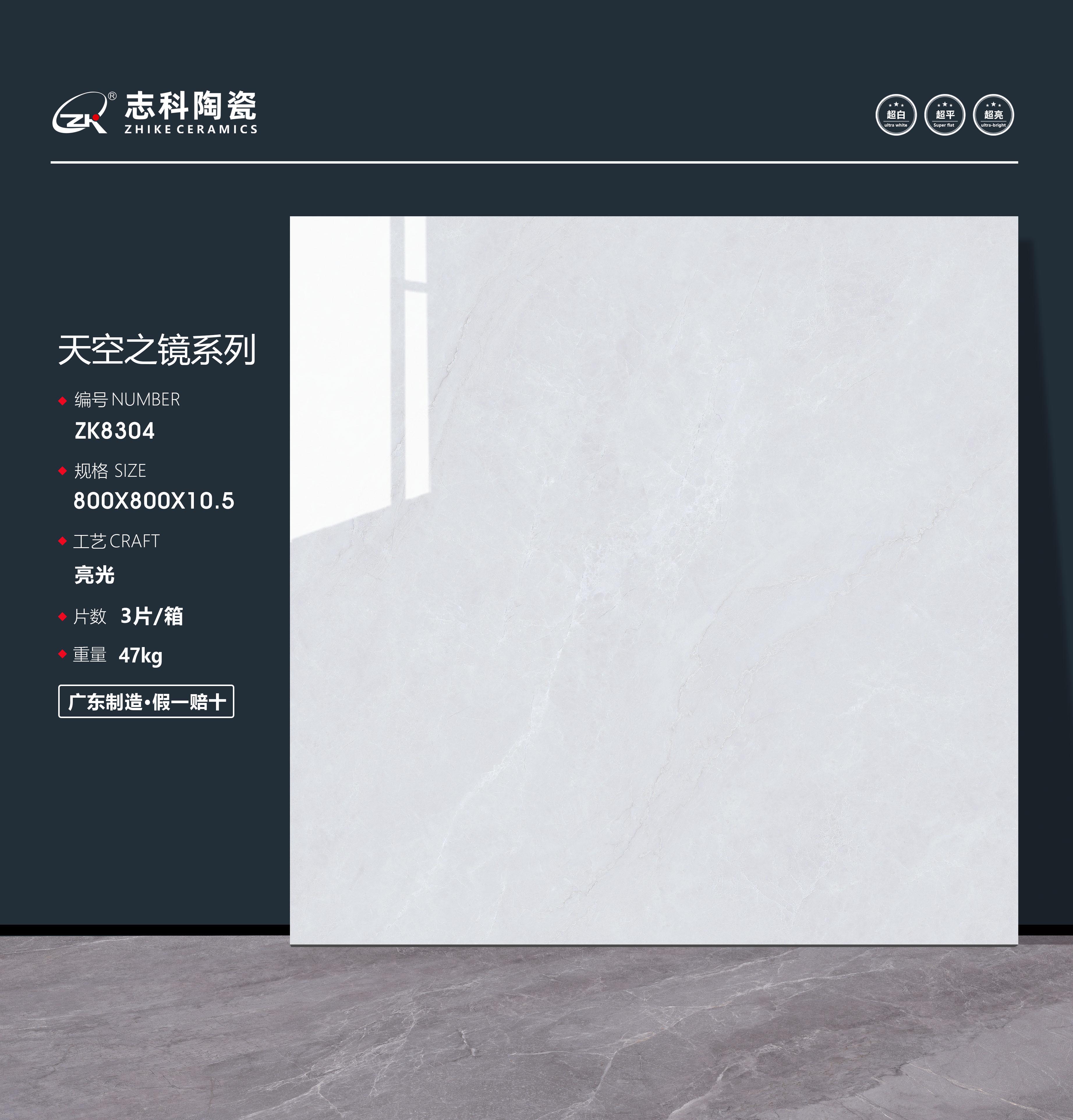 ZK8304